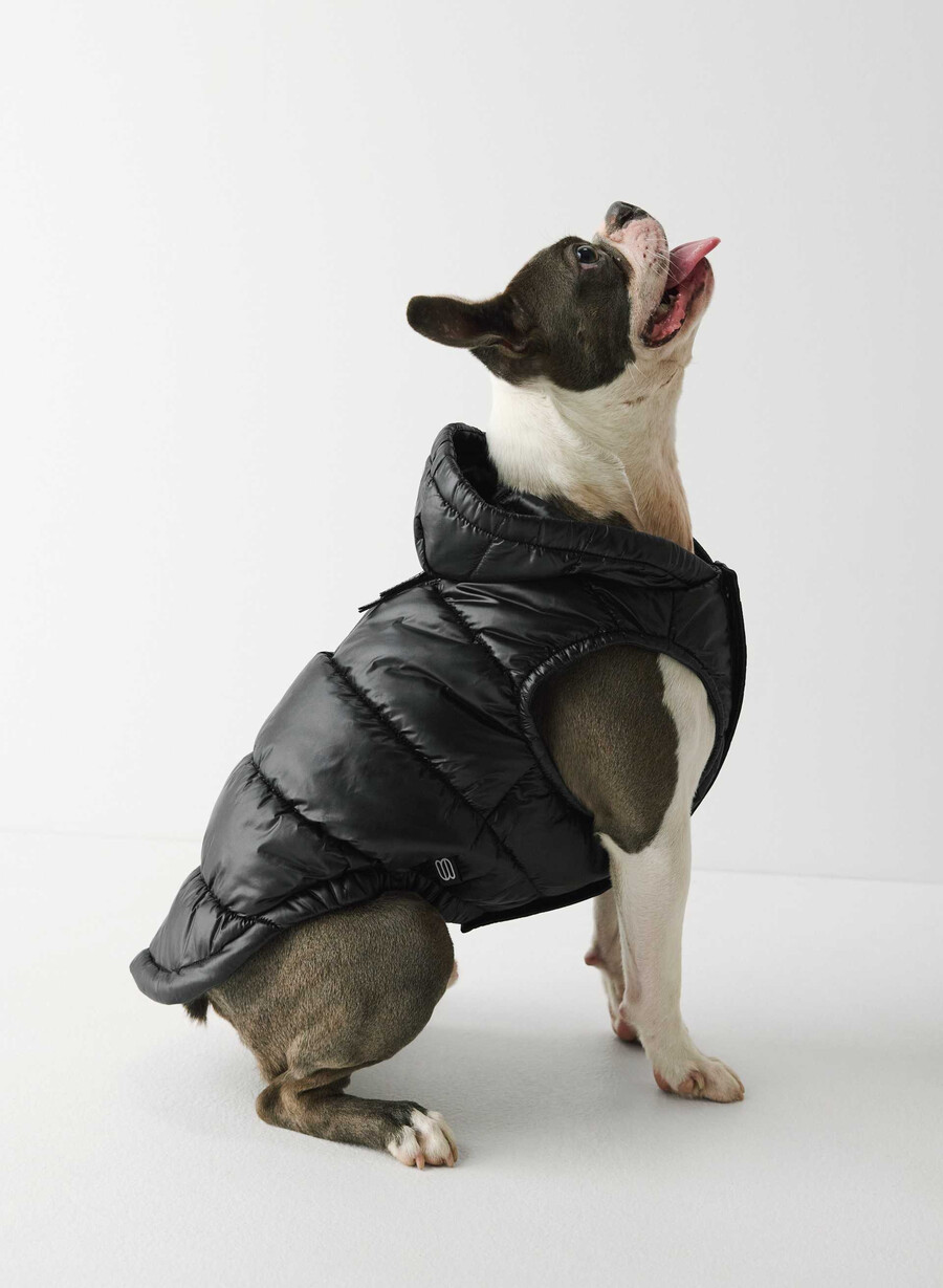 super ruff puff – høyglans blinkende rØd
